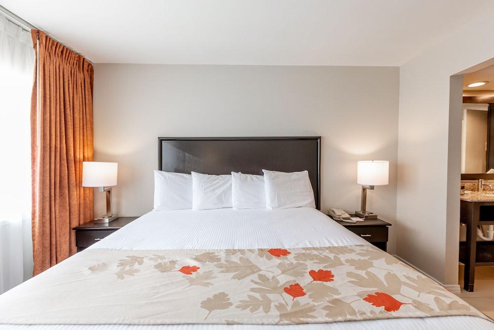 Value Suites Extended Stay - Arlington Luaran gambar